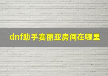 dnf助手赛丽亚房间在哪里