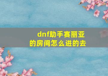 dnf助手赛丽亚的房间怎么进的去