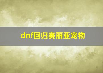 dnf回归赛丽亚宠物