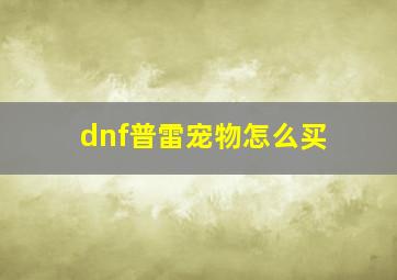 dnf普雷宠物怎么买