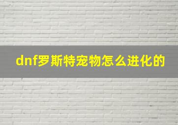 dnf罗斯特宠物怎么进化的