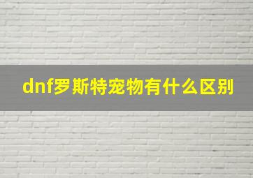 dnf罗斯特宠物有什么区别