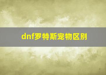 dnf罗特斯宠物区别