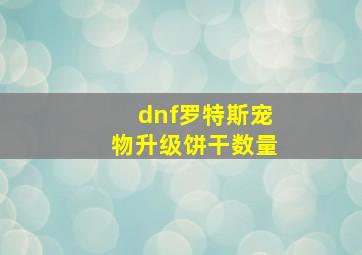 dnf罗特斯宠物升级饼干数量