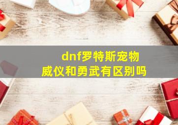 dnf罗特斯宠物威仪和勇武有区别吗