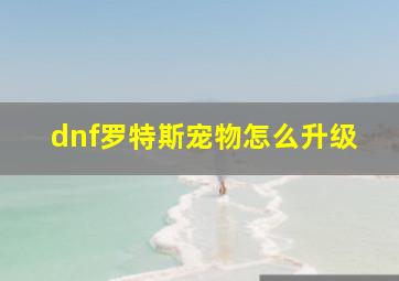 dnf罗特斯宠物怎么升级