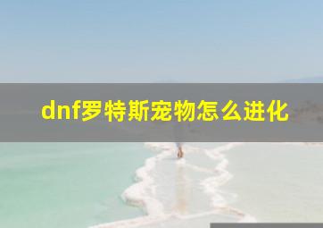 dnf罗特斯宠物怎么进化