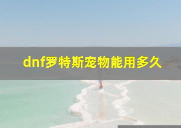 dnf罗特斯宠物能用多久