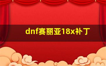 dnf赛丽亚18x补丁