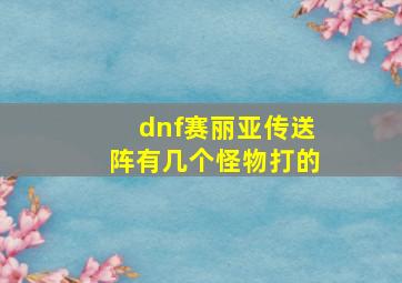 dnf赛丽亚传送阵有几个怪物打的