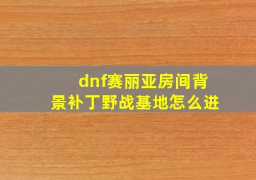 dnf赛丽亚房间背景补丁野战基地怎么进