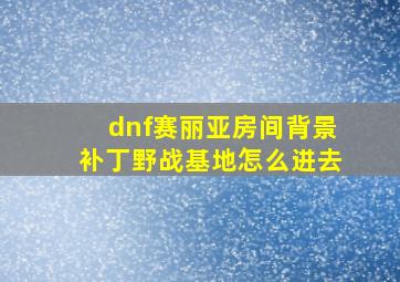 dnf赛丽亚房间背景补丁野战基地怎么进去