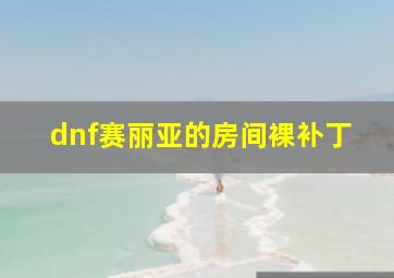 dnf赛丽亚的房间裸补丁