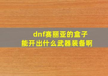 dnf赛丽亚的盒子能开出什么武器装备啊