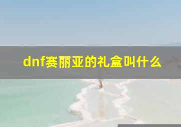 dnf赛丽亚的礼盒叫什么