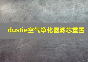 dustie空气净化器滤芯重置