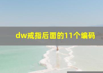 dw戒指后面的11个编码