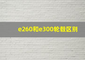 e260和e300轮毂区别