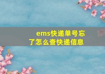 ems快递单号忘了怎么查快递信息