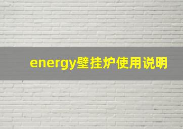 energy壁挂炉使用说明