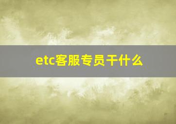 etc客服专员干什么