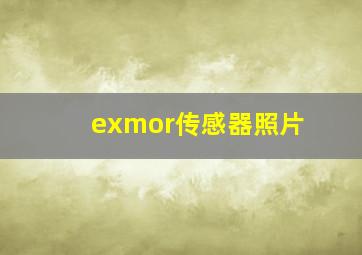 exmor传感器照片