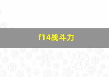 f14战斗力