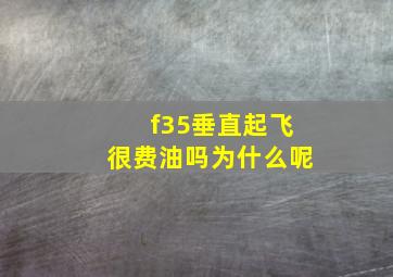 f35垂直起飞很费油吗为什么呢