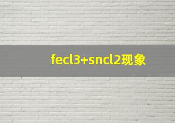 fecl3+sncl2现象