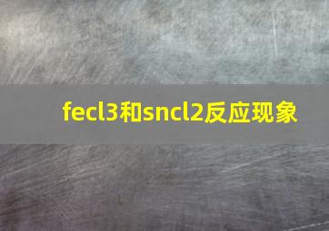 fecl3和sncl2反应现象