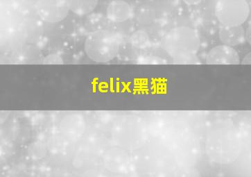 felix黑猫