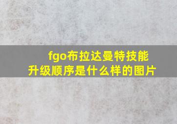 fgo布拉达曼特技能升级顺序是什么样的图片