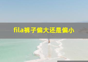 fila裤子偏大还是偏小