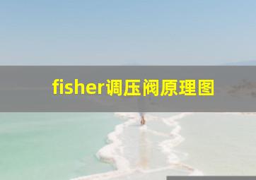 fisher调压阀原理图