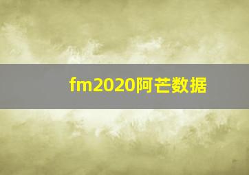 fm2020阿芒数据