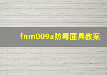 fnm009a防毒面具教案