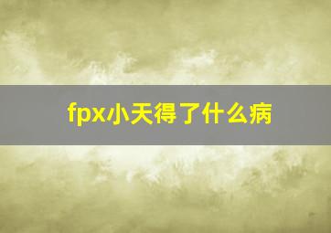 fpx小天得了什么病