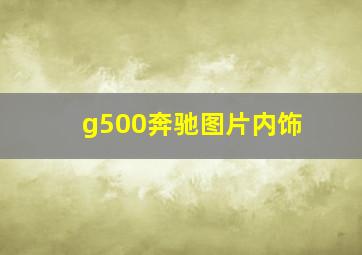 g500奔驰图片内饰