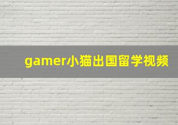 gamer小猫出国留学视频