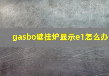 gasbo壁挂炉显示e1怎么办