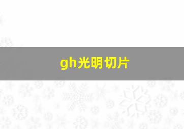 gh光明切片