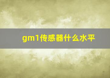 gm1传感器什么水平