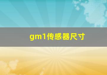 gm1传感器尺寸