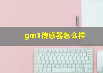 gm1传感器怎么样