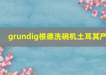 grundig根德洗碗机土耳其产