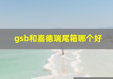 gsb和嘉德瑞尾箱哪个好