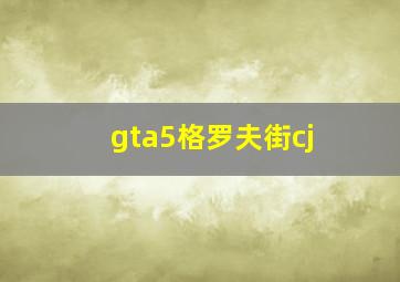 gta5格罗夫街cj