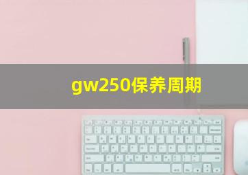 gw250保养周期