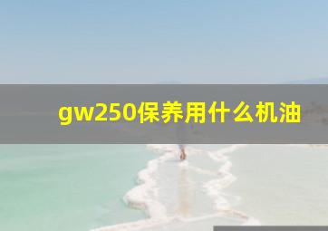 gw250保养用什么机油