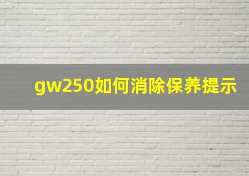 gw250如何消除保养提示